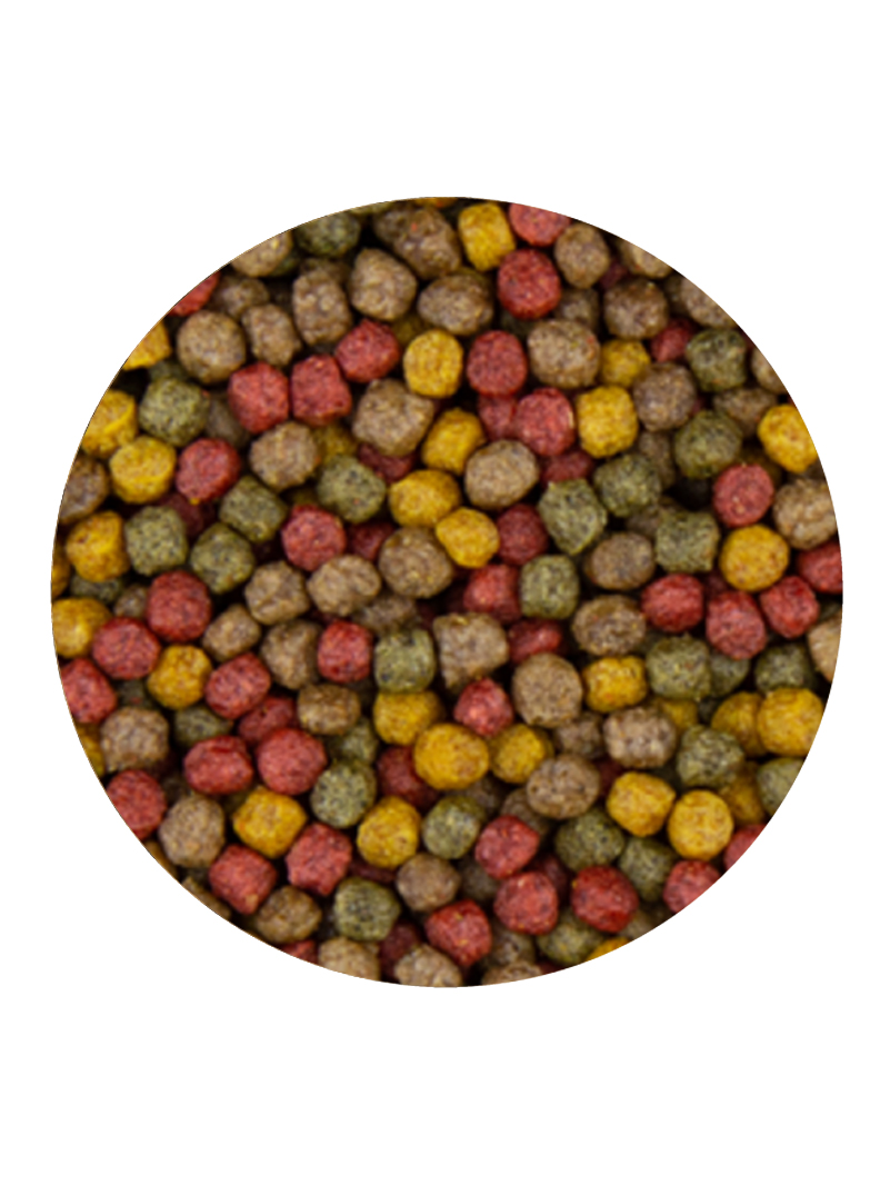 AB Vivani 4 Colour Mix 6mm 15kg