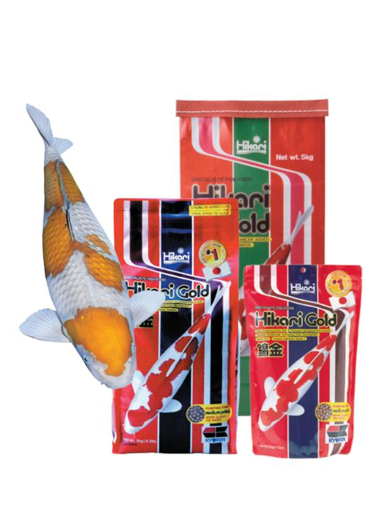 Hikari Koi Gold 10kg L