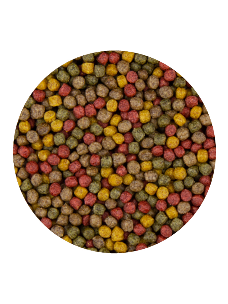 Takazumi Multi Color 12kg 6mm
