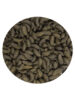 Vivani Coppens Midori 2kg (Jedwabniki)