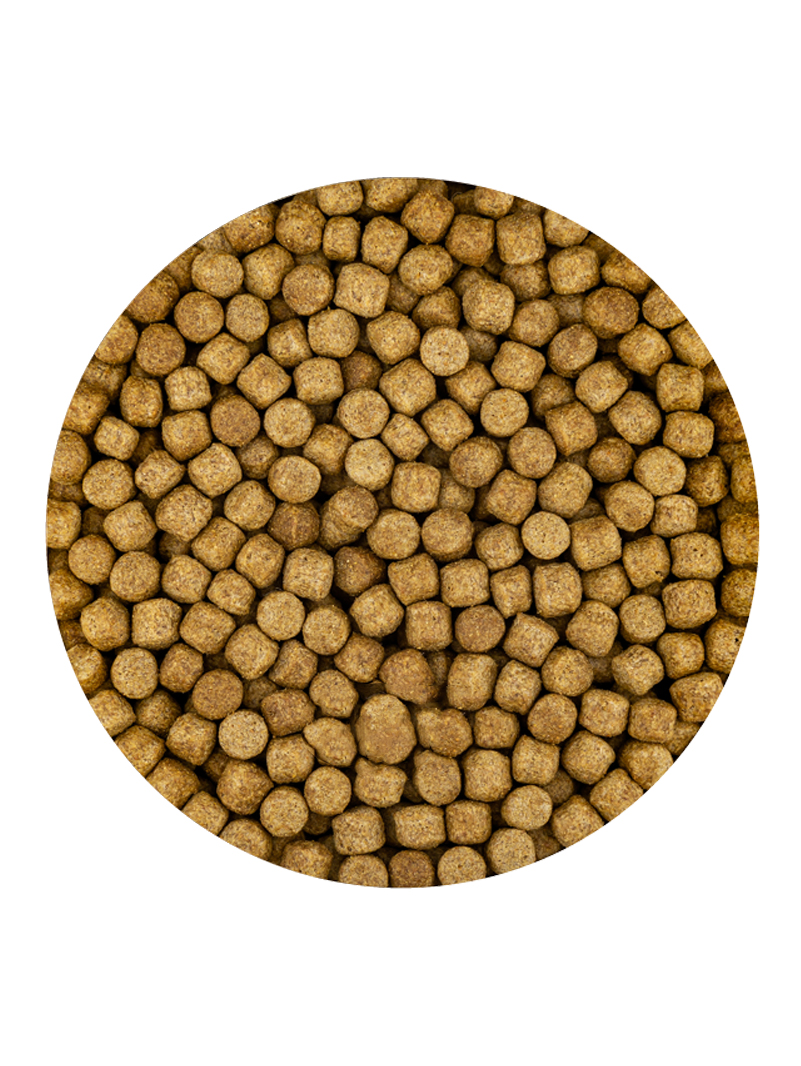 Vivani Wheat Germ Jesień-Wiosna 3mm 2kg od 5 °C