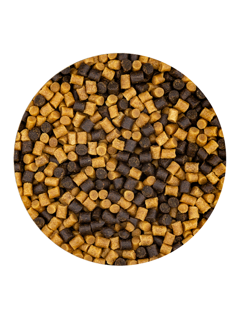 Vivani Winter Mix 3,4kg Zimowy.Od 5°C