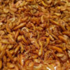 Suszony Kiełż (rozważany) 1kg
