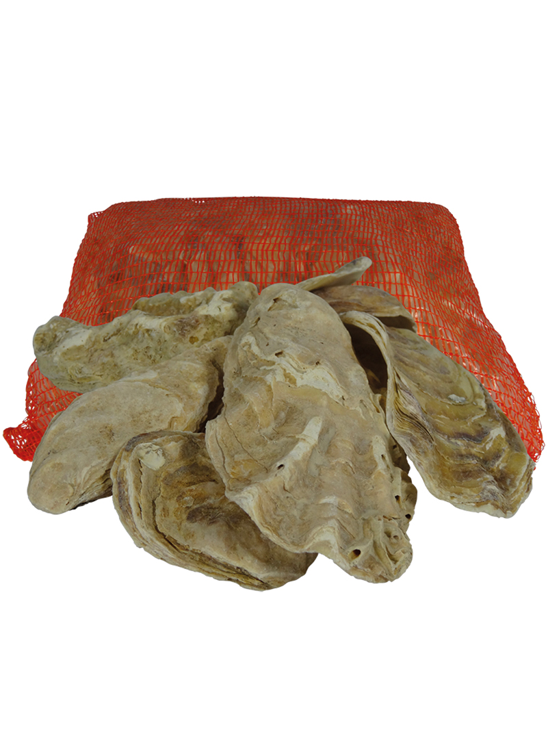 Air Aqua Muszle Ostrygowe 20kg