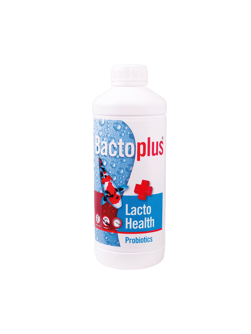 Bactoplus Lacto Health 1L