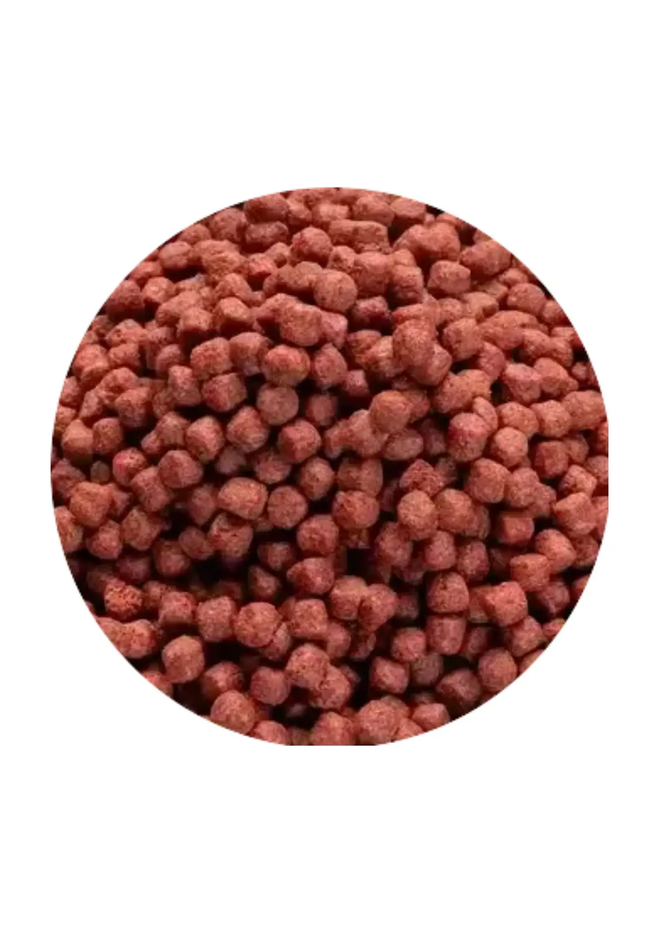 Vivani Astax Pellet 15kg 6mm